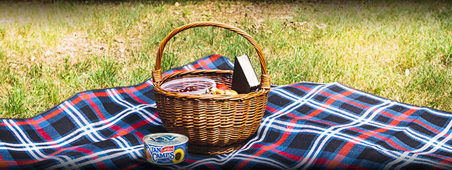 Aprende qué es un pícnic y las claves para organizar uno
